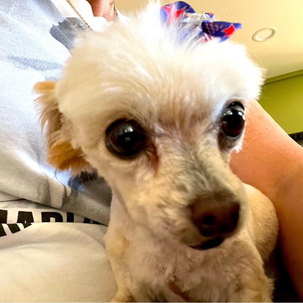 Meet your Posher, Tina